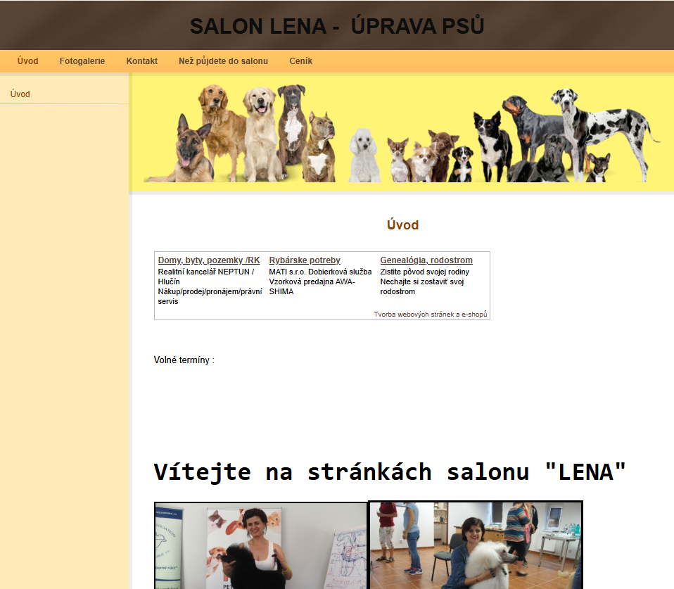 SalonLena - Redesign